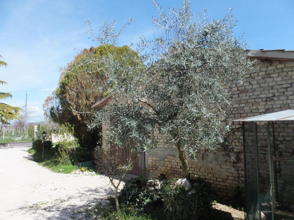 منزل الضيف فولينيو  في Cascina Antonini المظهر الخارجي الصورة