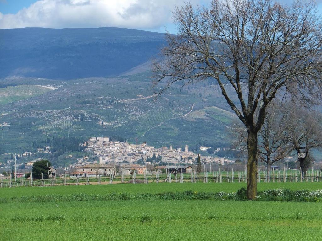 منزل الضيف فولينيو  في Cascina Antonini المظهر الخارجي الصورة